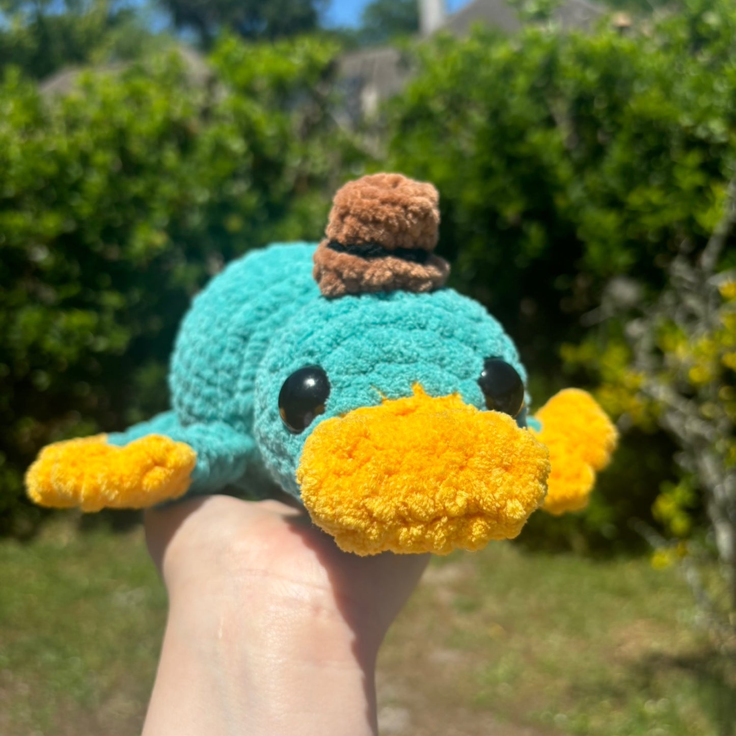 Perry the Platypus