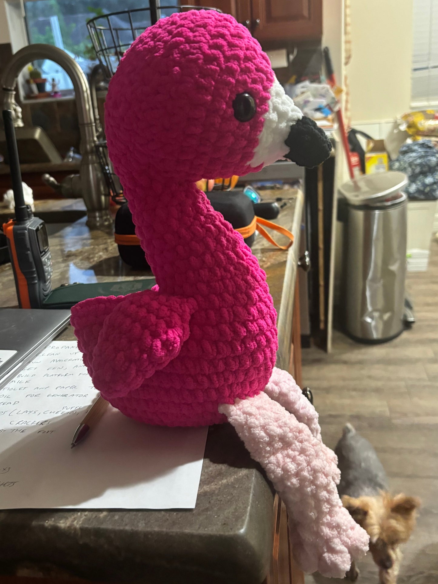 Flamingo